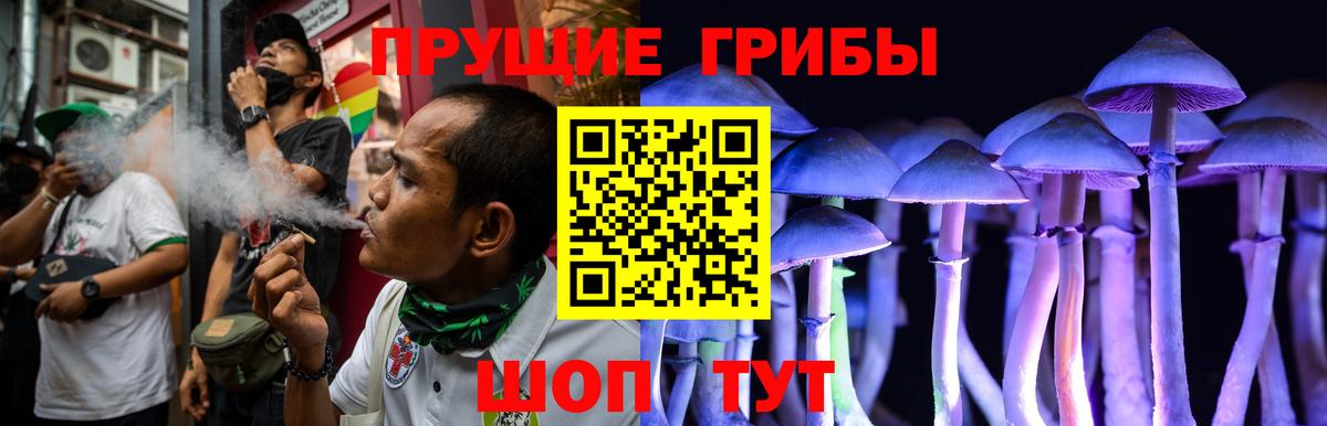 Гуково  Псилоцибиновые грибы GOLDEN TEACHER  купить наркотики сайты  Вход с VPN 